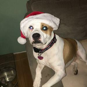 Fundraising Page: BRANDI MULLIGAN